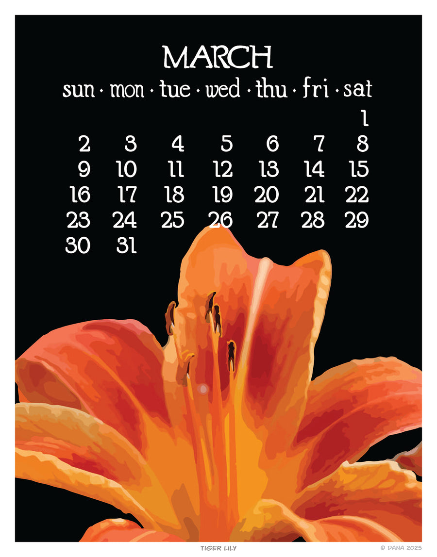 2025 Calendar Abacus Gallery