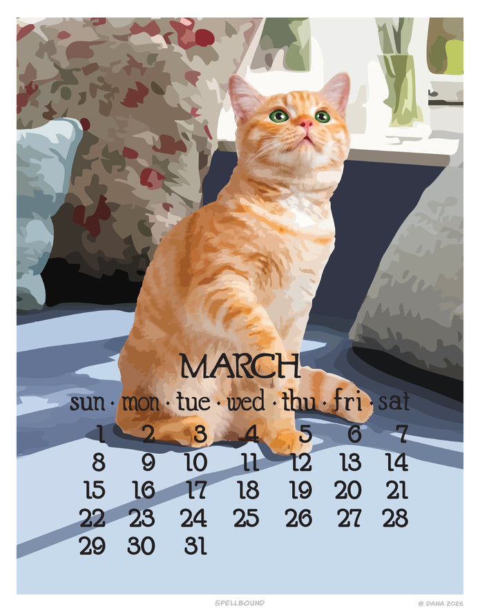 2026 11x14 Wall Calendar