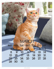 2026 5x7 Desk Calendar
