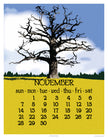 2027 11x14 Wall Calendar