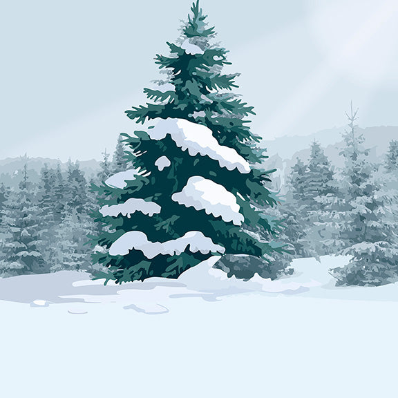 First Snow