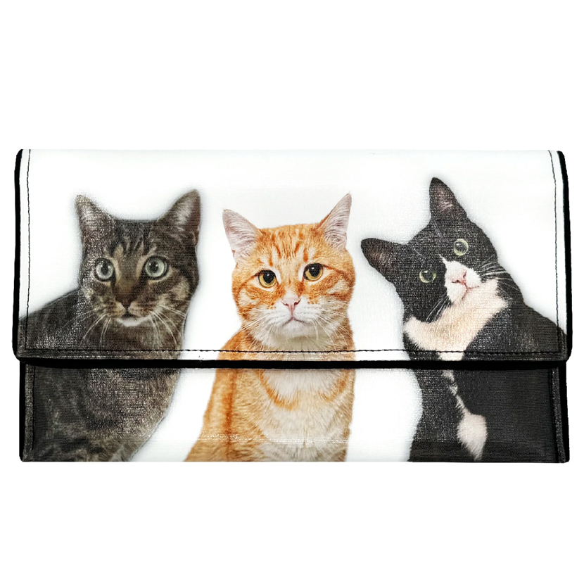 Three Cats