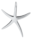Starfish Necklace