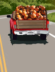 Pumpkin Delivery
