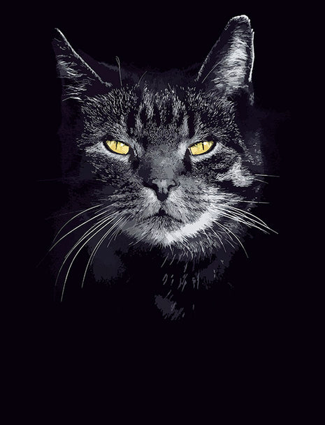 Shadow