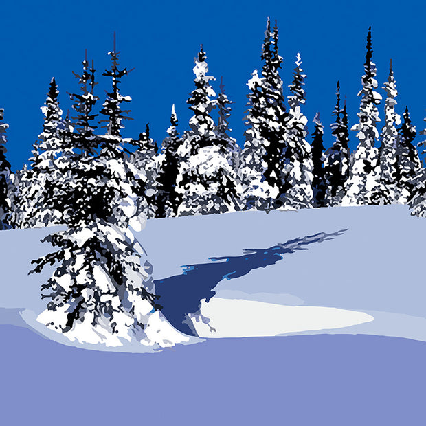 Winter Spruce