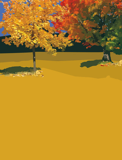 Sunlight