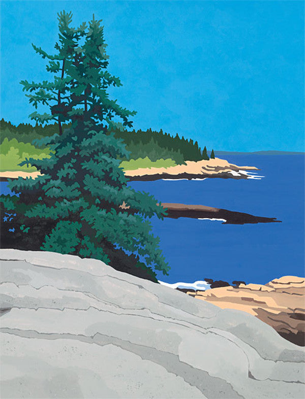 Scenic Lookout