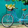 Blue Cruiser