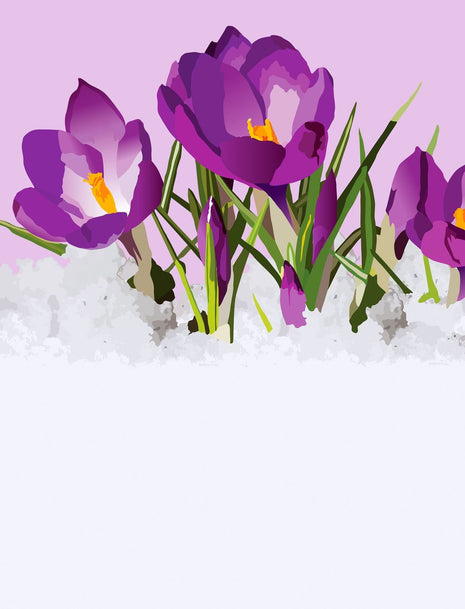 Crocuses