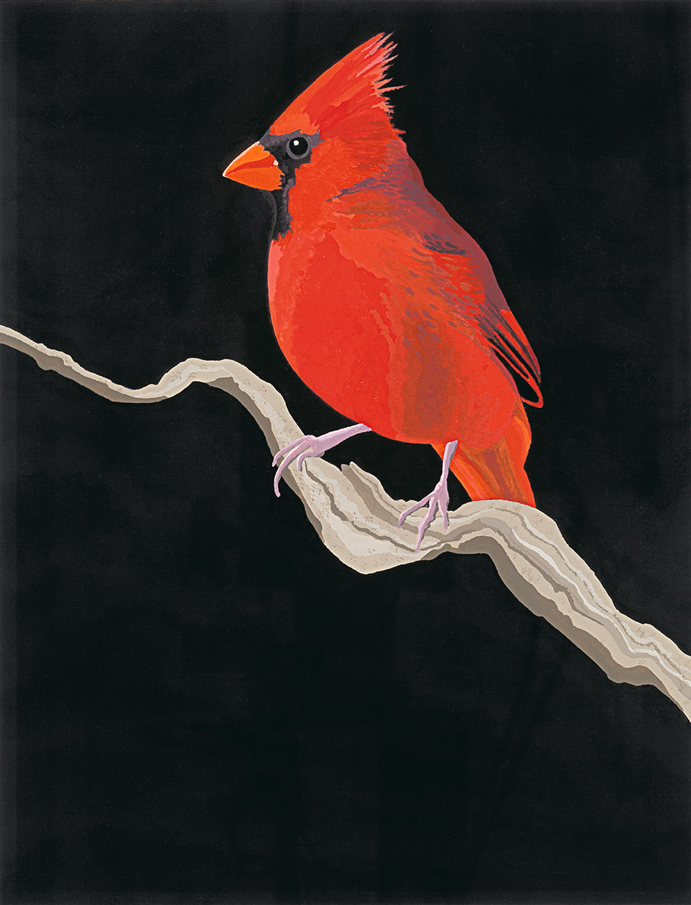 Cardinal