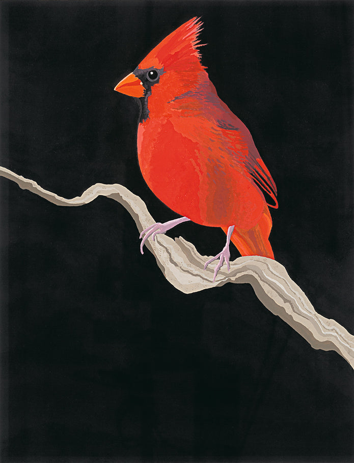 Cardinal