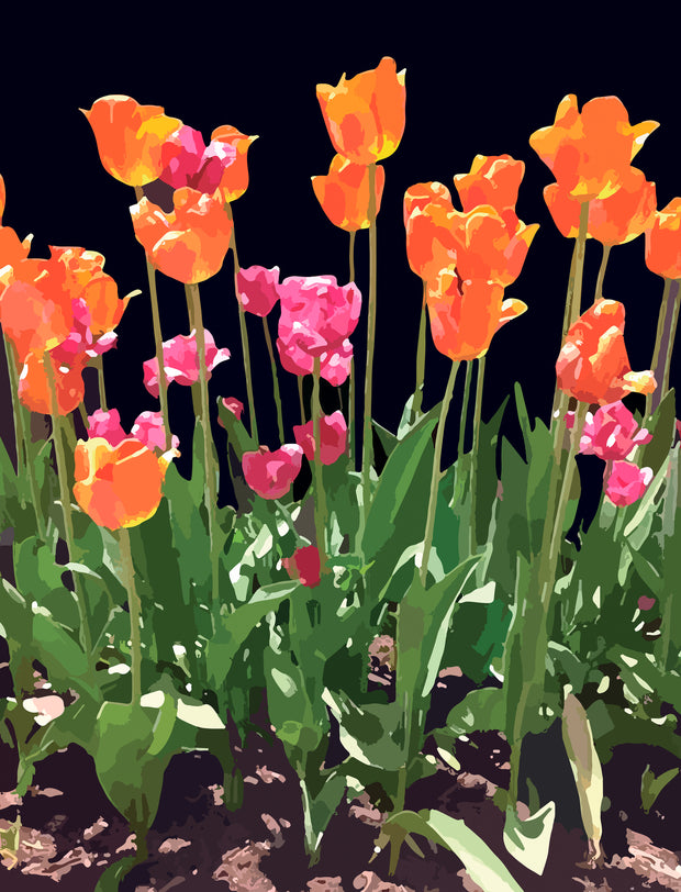 Early Blooms