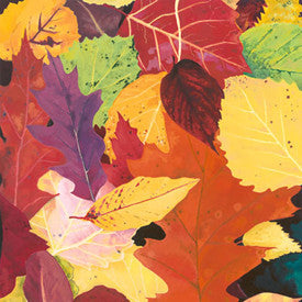 Fallen Leaves