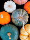 Gourds