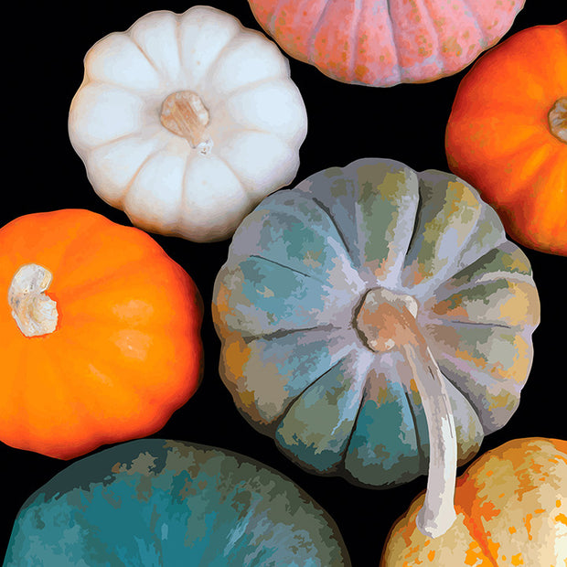 Gourds