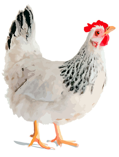 Henrietta