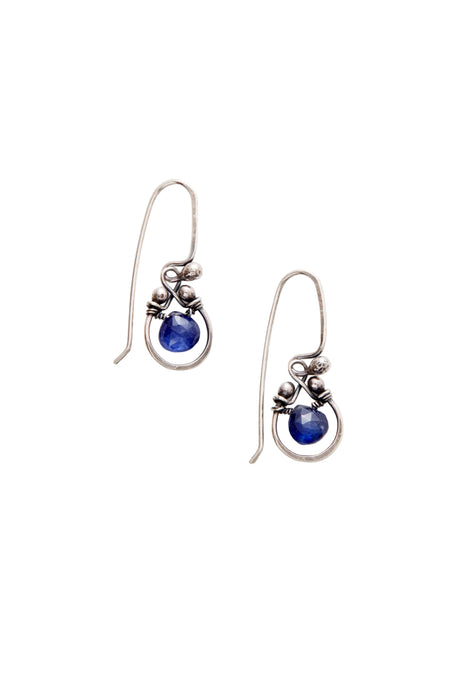 Horseshoe Earrings with Gemstone