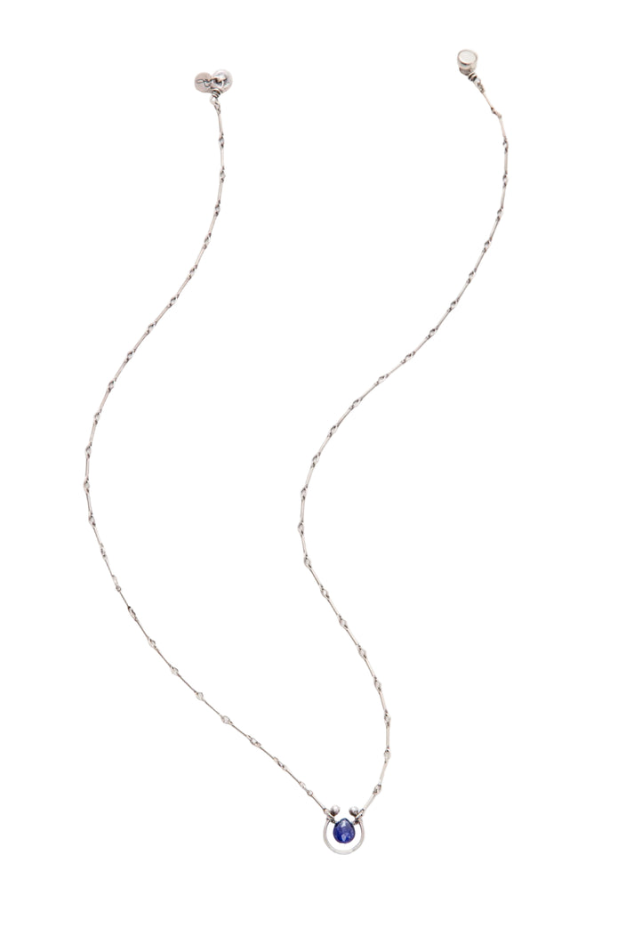 Horseshoe  Necklace with Gemstone