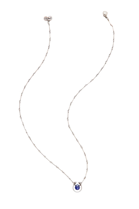 Horseshoe  Necklace with Gemstone