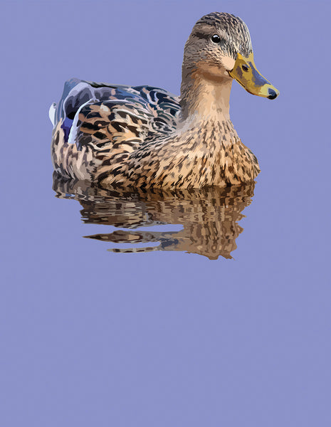 Mallard