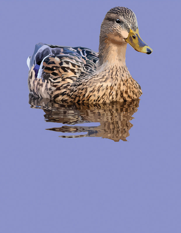 Mallard