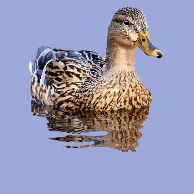 Mallard