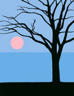 Moonrise