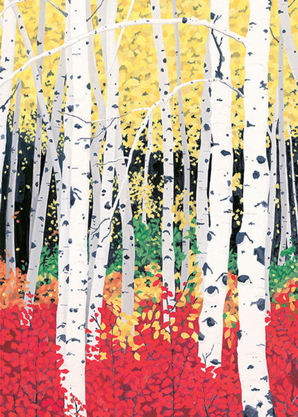 Nature's Colors Boxed Cards