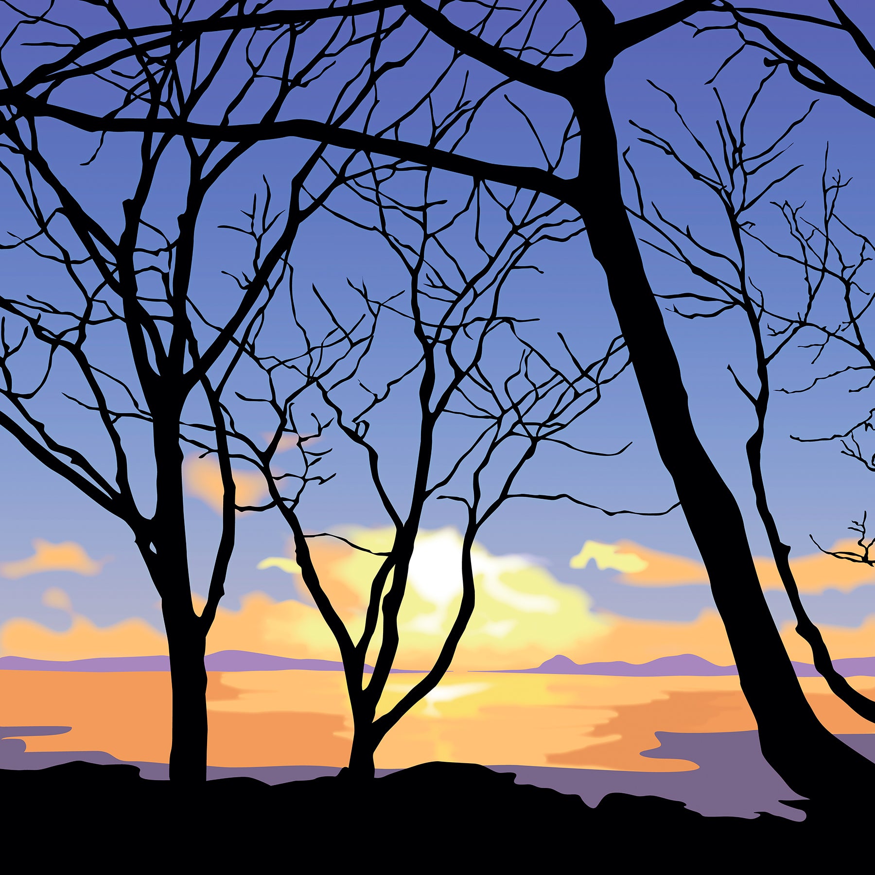 November Dawn
