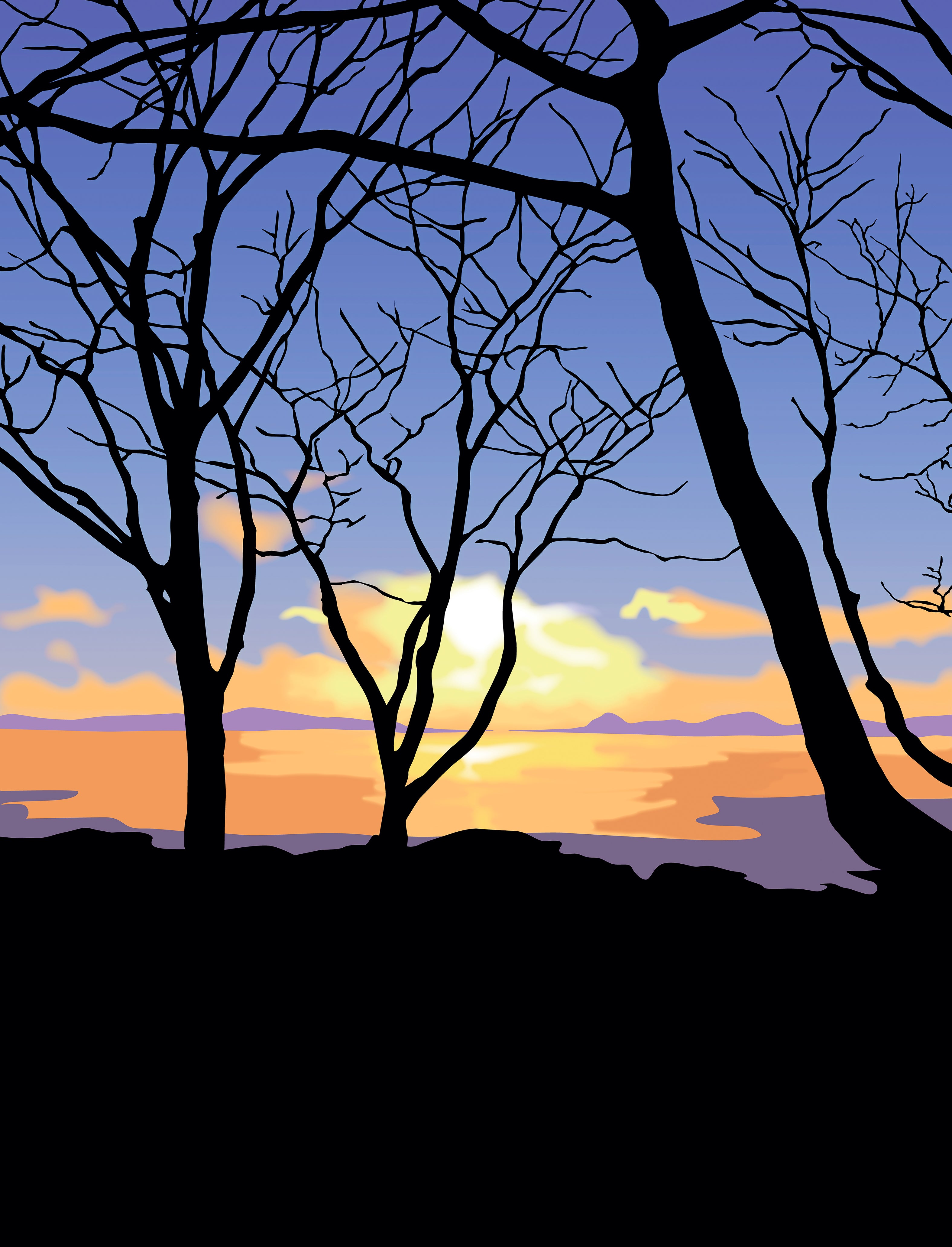 November Dawn