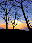 November Dawn
