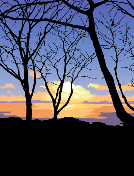 November Dawn