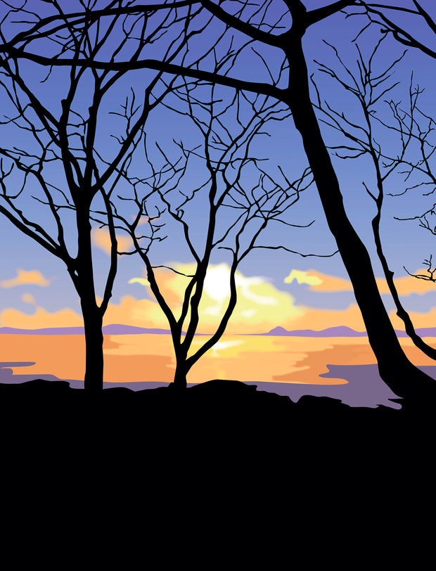 November Dawn