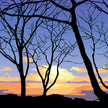 November Dawn