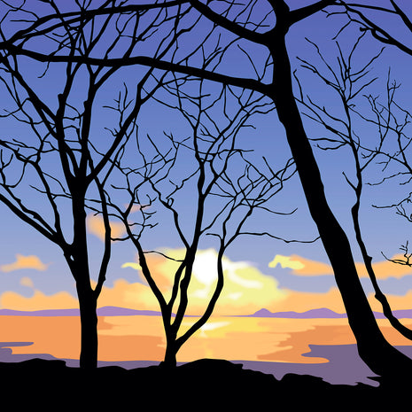 November Dawn