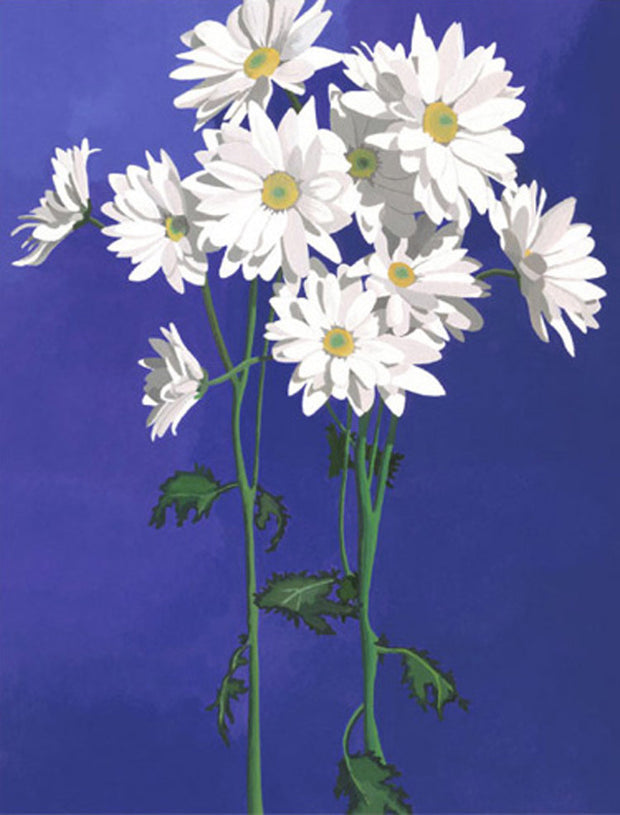 Daisies