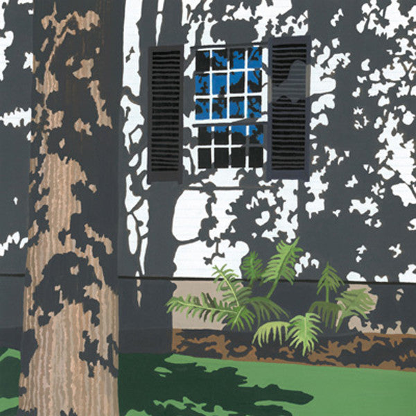 Tree Shadows