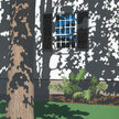 Tree Shadows