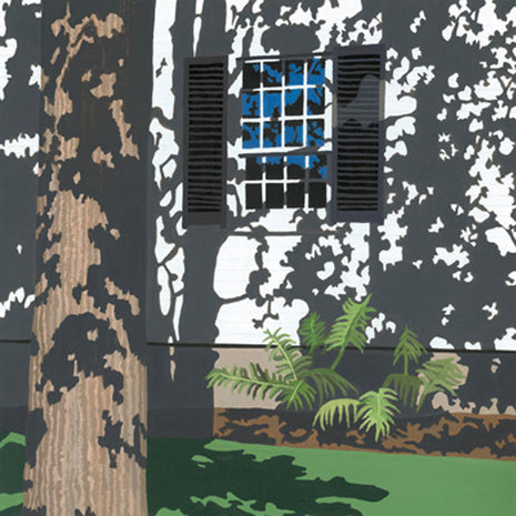 Tree Shadows