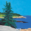 Scenic Lookout