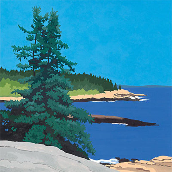 Scenic Lookout