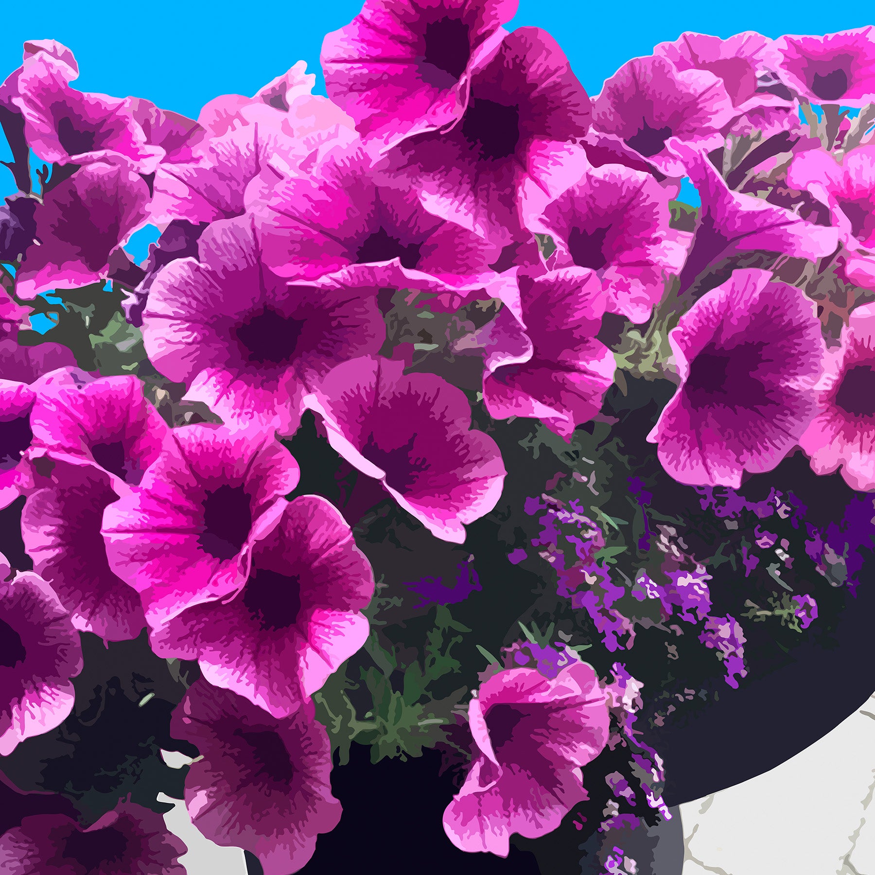 Potted Petunias