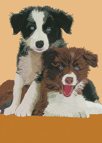 Puppies Boxed Cards