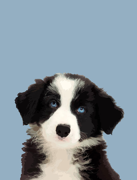 Rufus