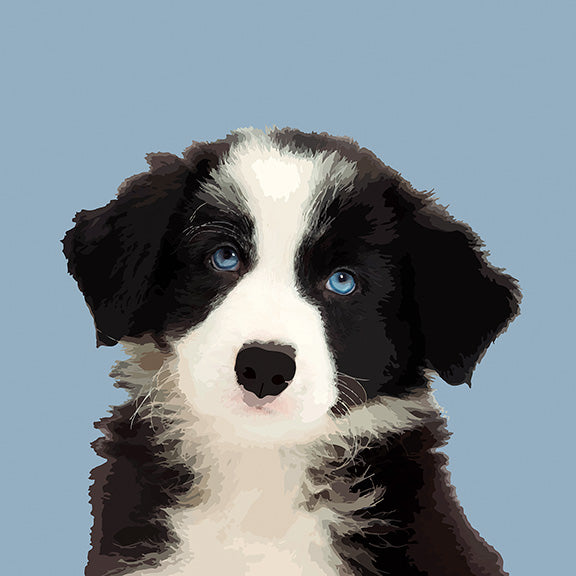 Rufus