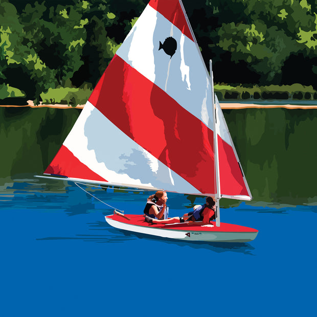 Sailing in the Cove
