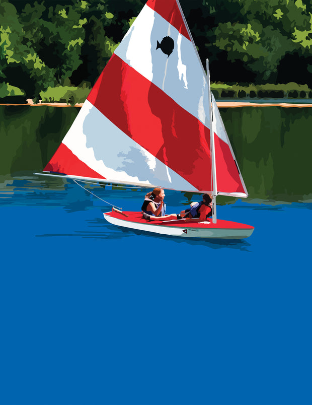 Sailing in the Cove