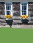 Window Boxes