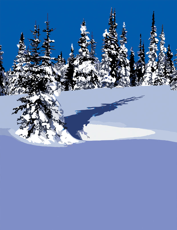 Winter Spruce